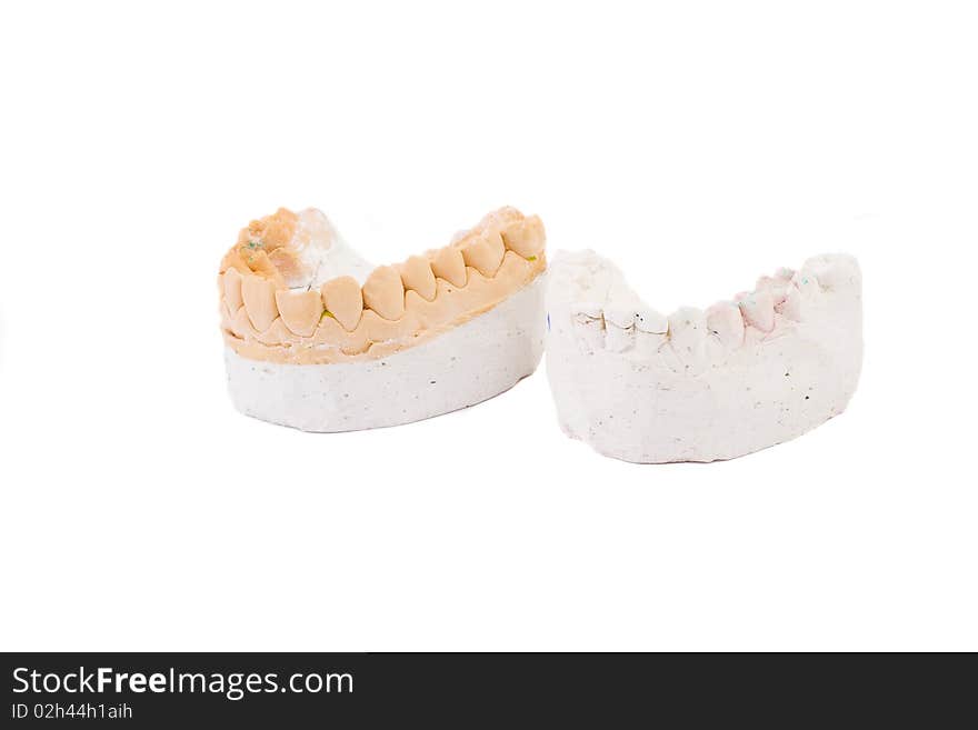 Teeth Plaster Cast. Close Up On White Background