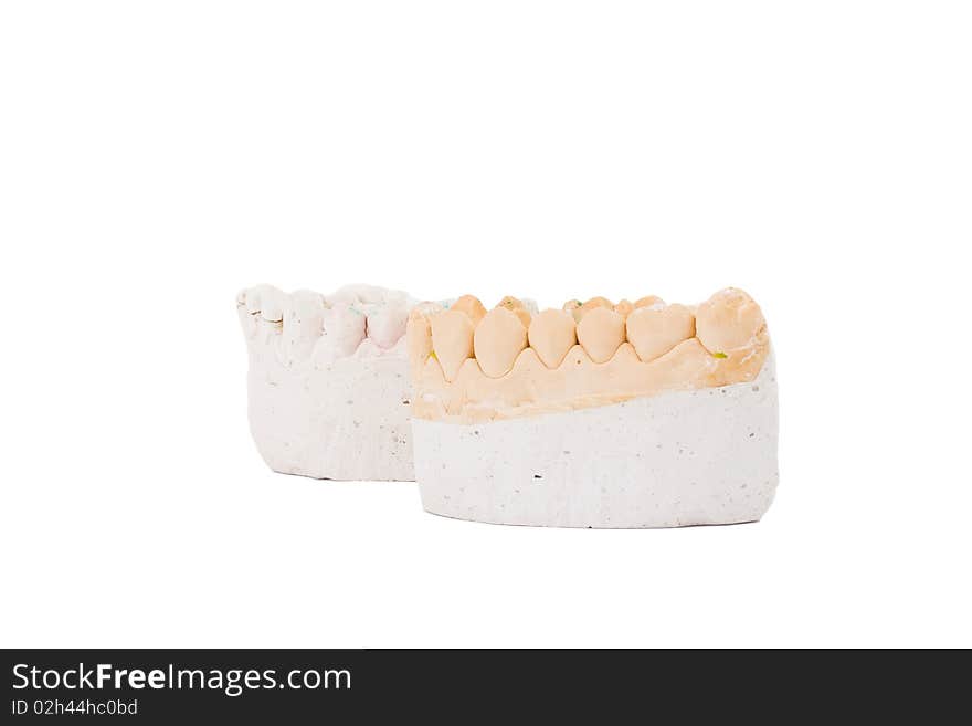 Teeth plaster cast. Close up on white background