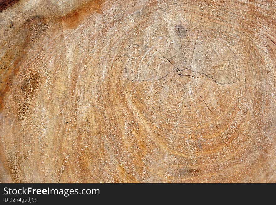 Image background of a wooden core