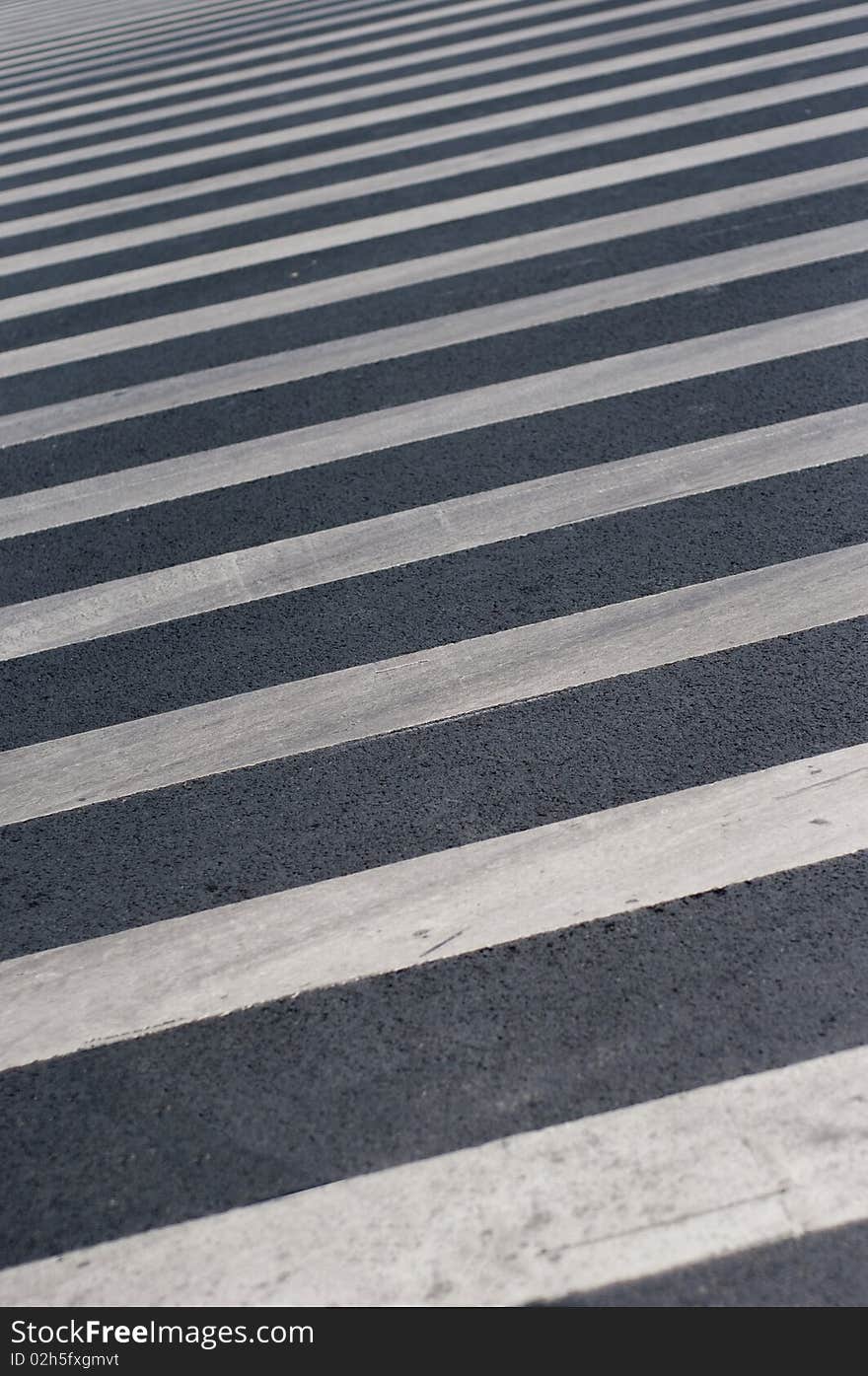 Empty zebra crossing in the morning