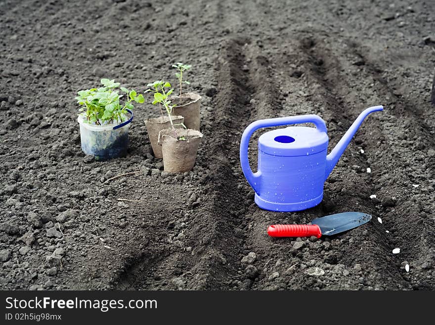 An image of a watering can on the ground