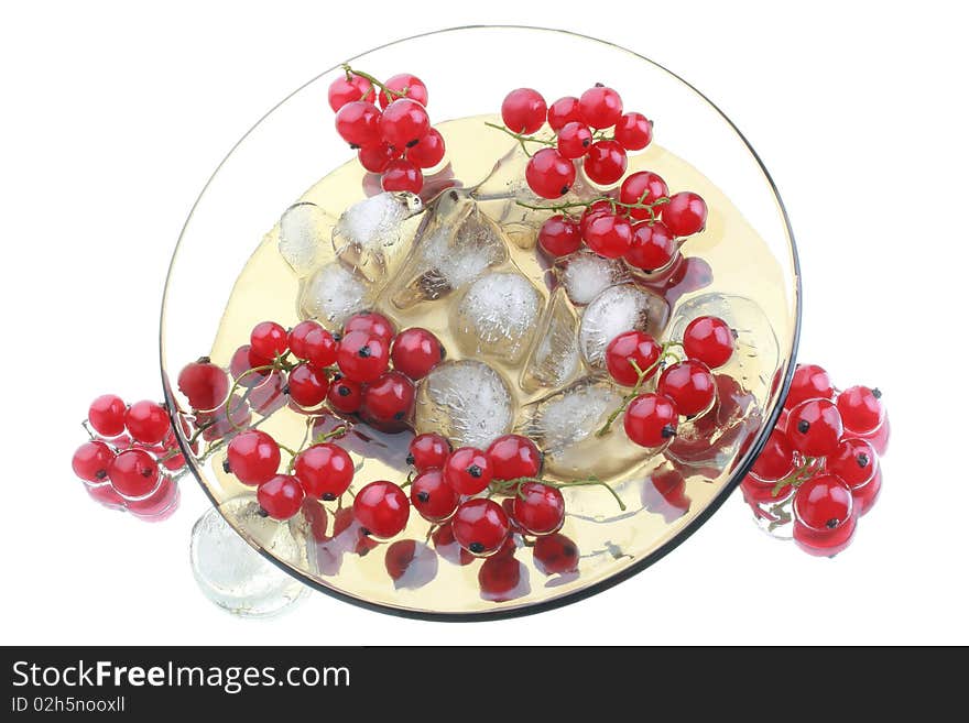 Red currant in the glass plate with an ice. Isolated on white background