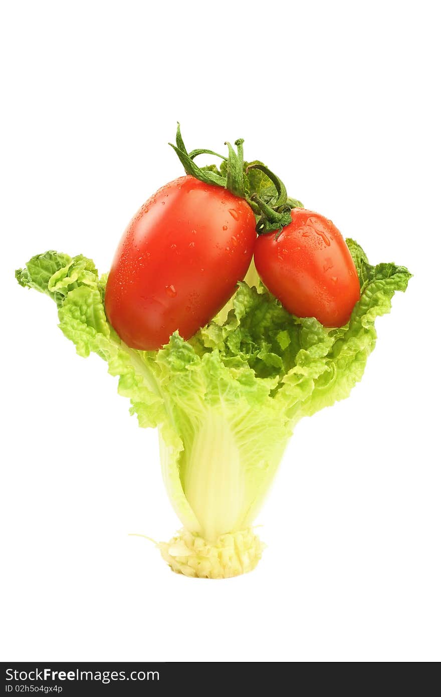 Two chinese oval tomatoes cherry with drops of water and small chinese cabbage Bok-Choy isolated on white background. Two chinese oval tomatoes cherry with drops of water and small chinese cabbage Bok-Choy isolated on white background