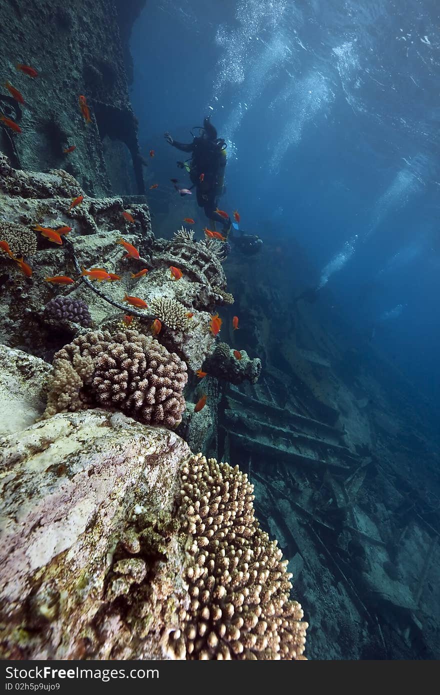 Wreck freighter Kormoran - sank in 1984 Tiran