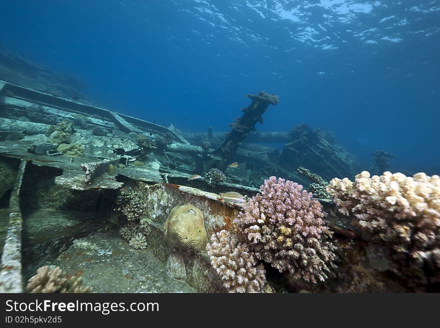 Wreck German freighter Kormoran - sank in 1984 Tiran