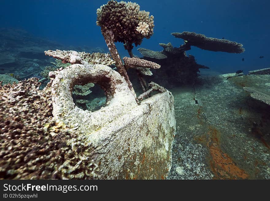 Wreck German freighter Kormoran - sank in 1984 Tiran