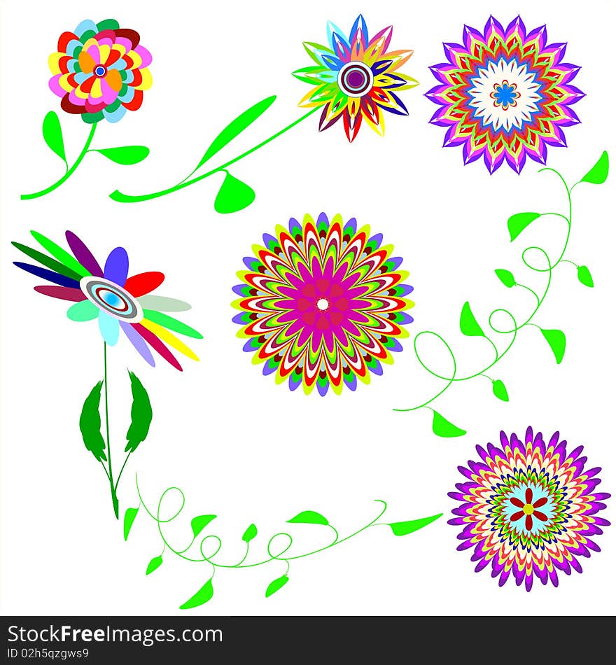 Set collors flowers on white background