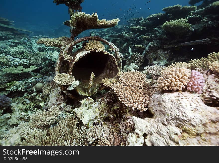 Wreck freighter Kormoran - sank in 1984 Tiran