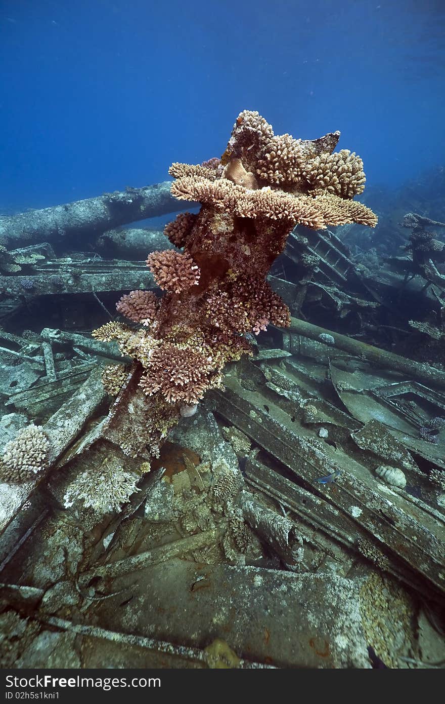 Wreck freighter Kormoran - sank in 1984 Tiran