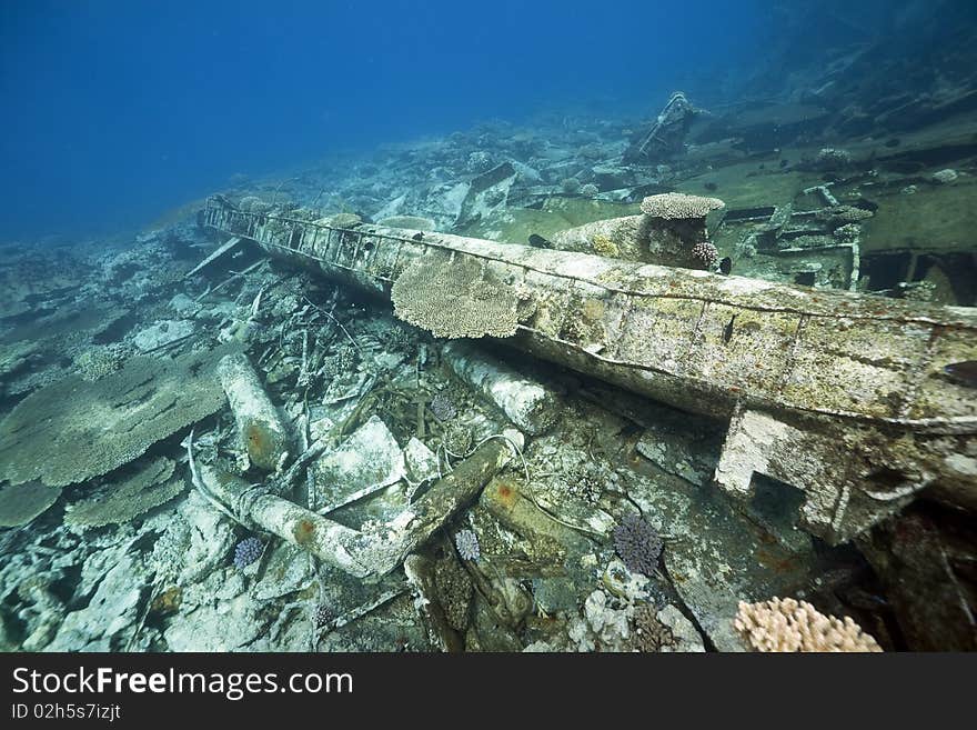 Wreck freighter Kormoran - sank in 1984 Tiran