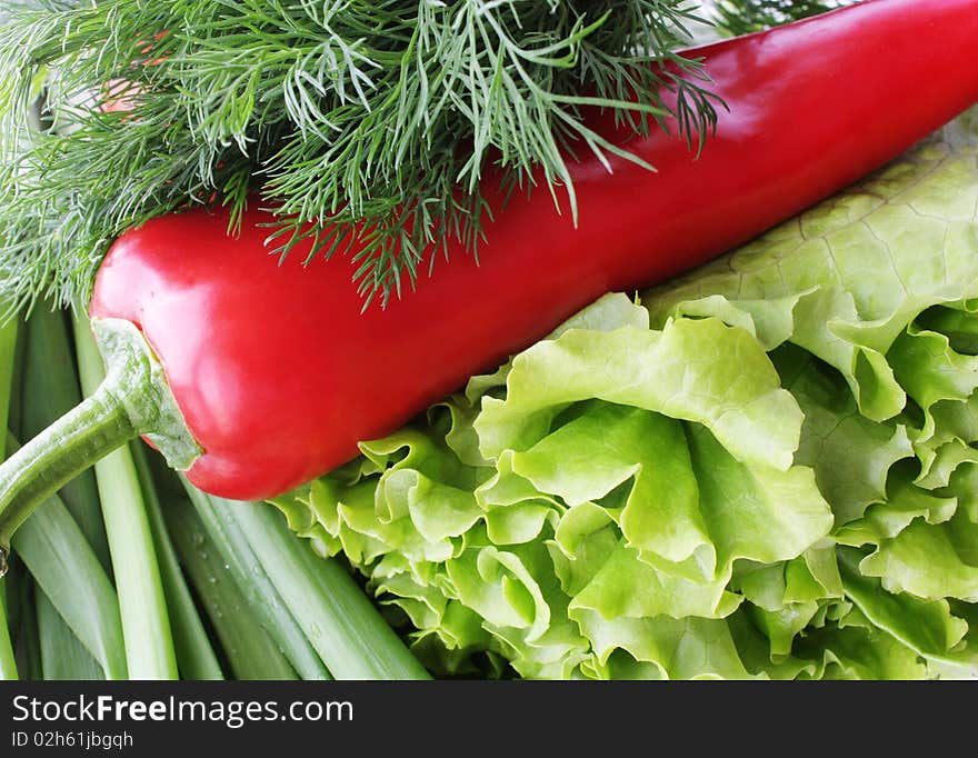 Greens and pepper as food background