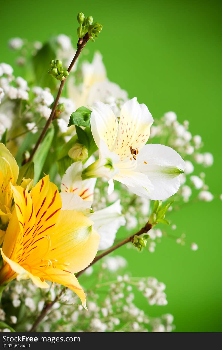 Spring bouquet