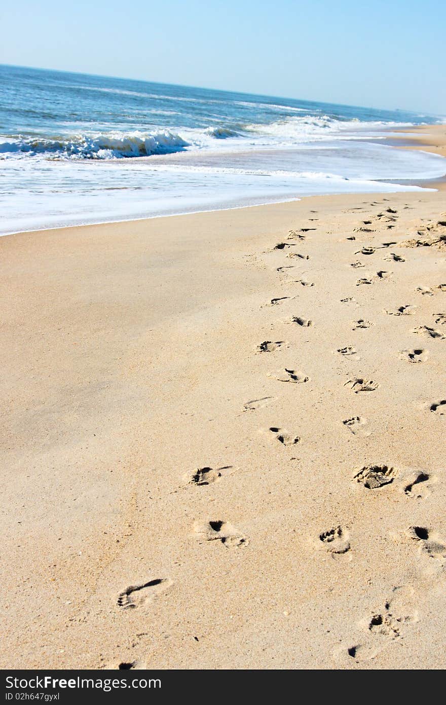 Footprints Along the Carolina Beach shore with waves crashing in the background. Footprints Along the Carolina Beach shore with waves crashing in the background.