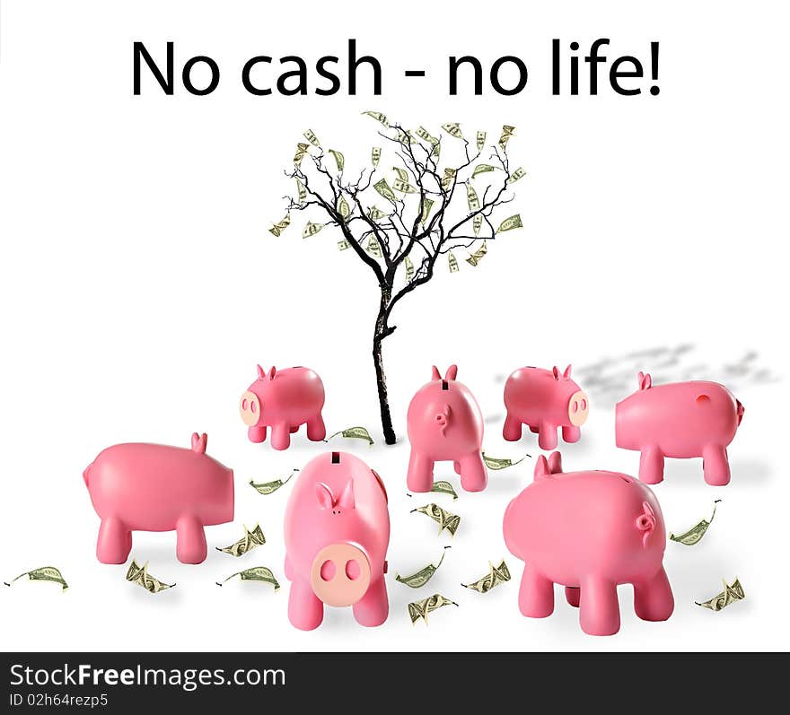 Piggy bank and cash leaves - a symbol of investment in the future