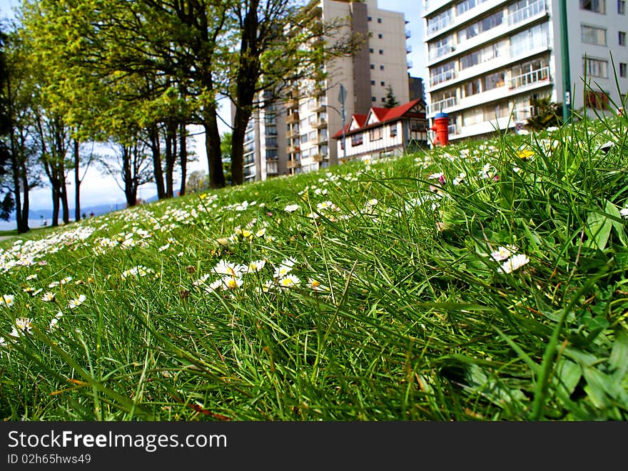 Spring has arrived in a near the ocean park