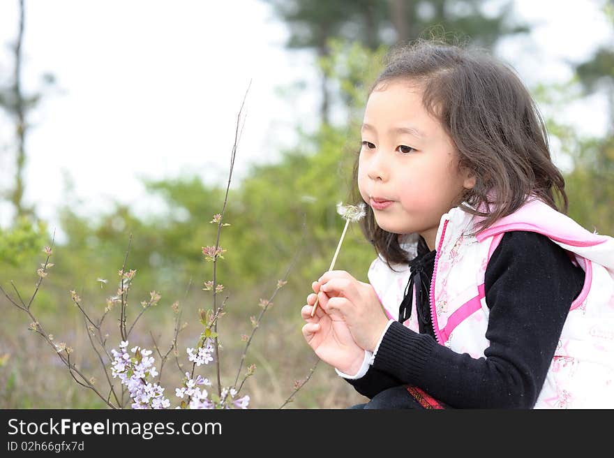 Little asian girl and Dandelion