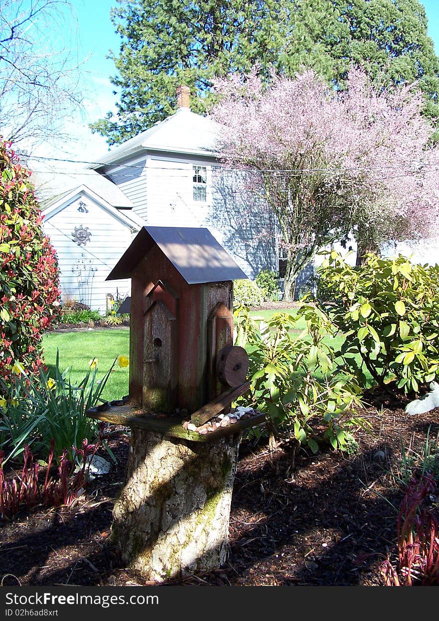 Garden with plants and decorative bird house . Garden with plants and decorative bird house .