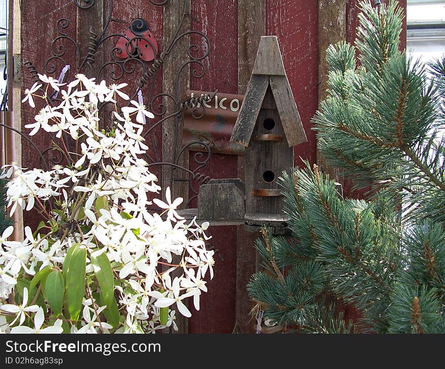 Pretty greenhouse wall with decorative elements and plants . Pretty greenhouse wall with decorative elements and plants .