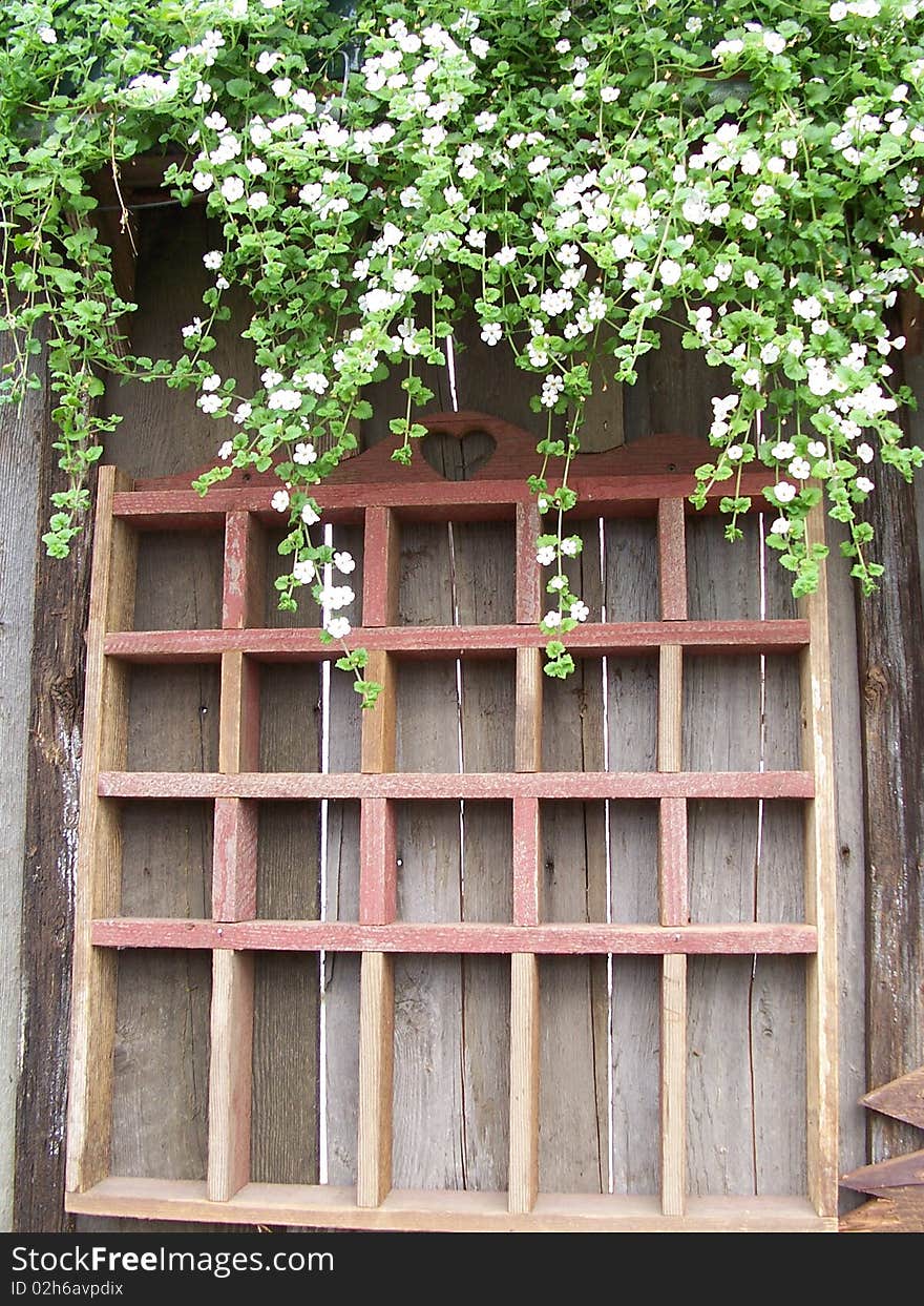 Pretty wall of greenhouse with flowers. Pretty wall of greenhouse with flowers.