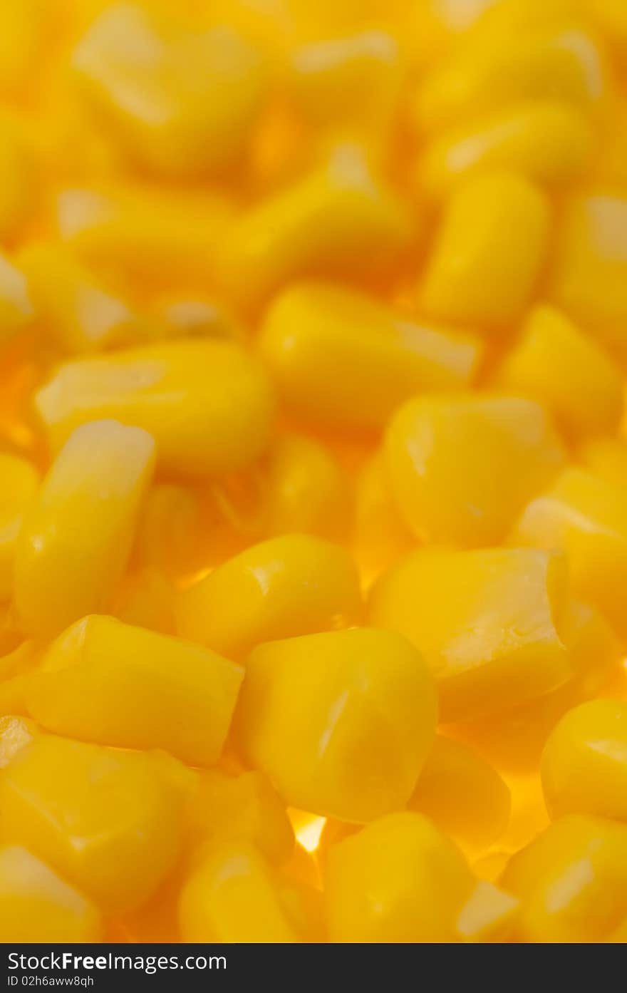 Vertical photo of yellow corn background