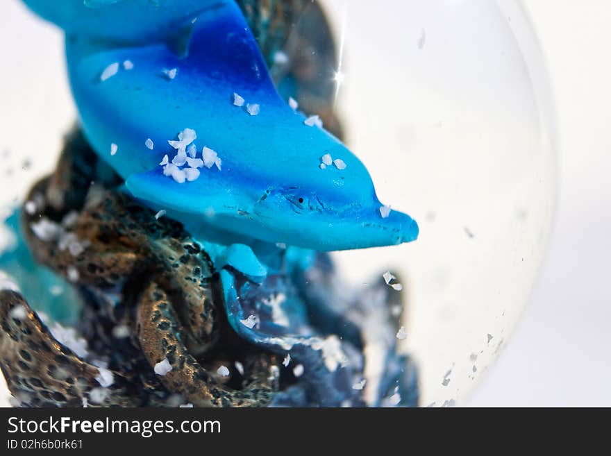 Souvenirs of dolphins into a crystal ball