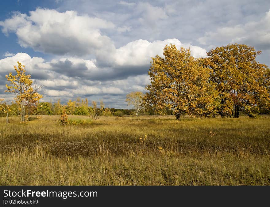 Autumn landscape with blue sky and clouds. Yellow trees and grass.