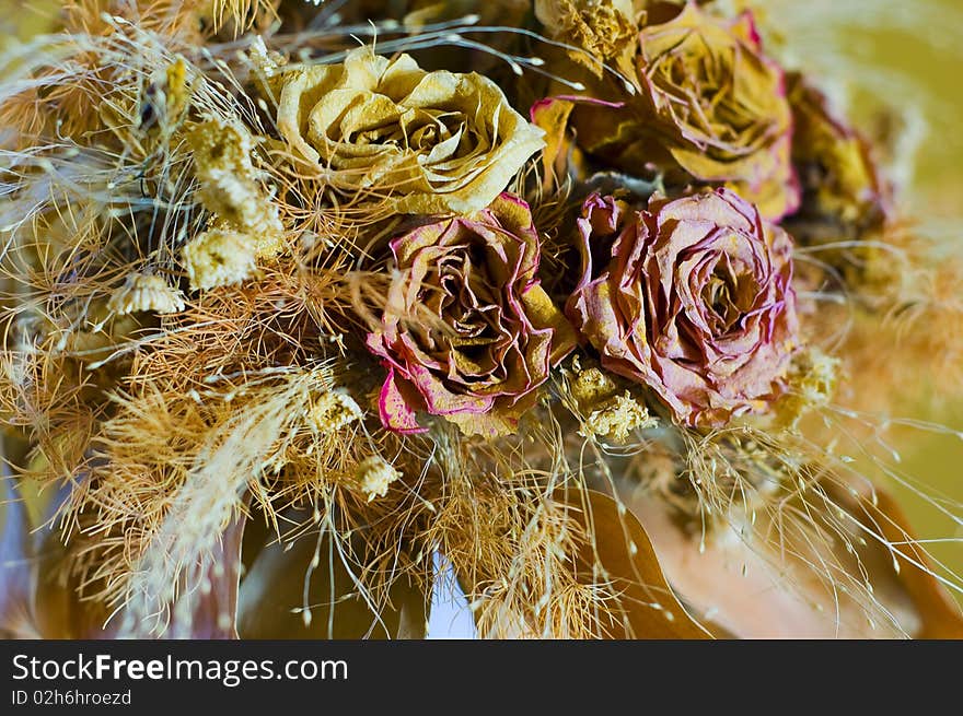 Dried Flowers