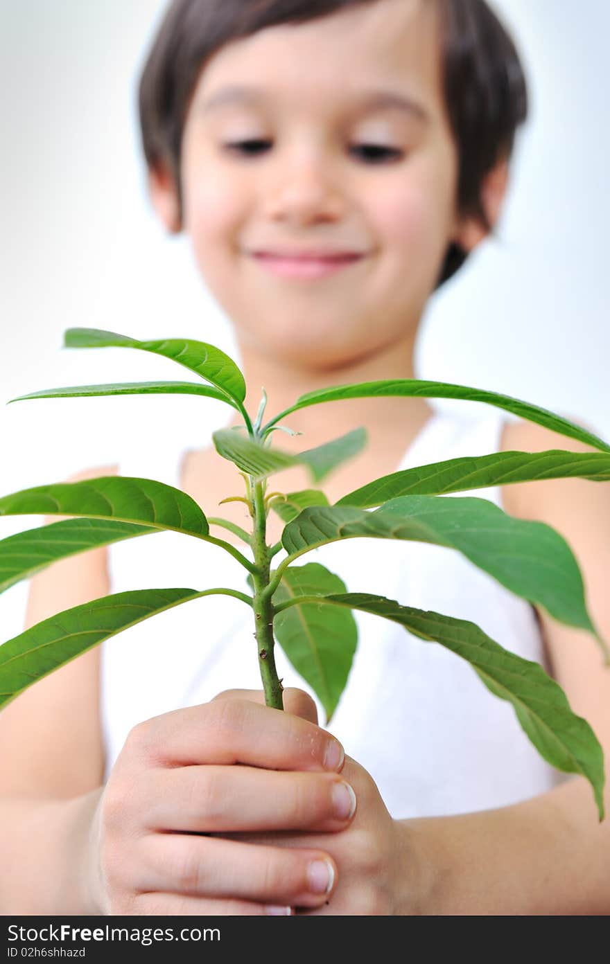 Cute positive kid boy with plant