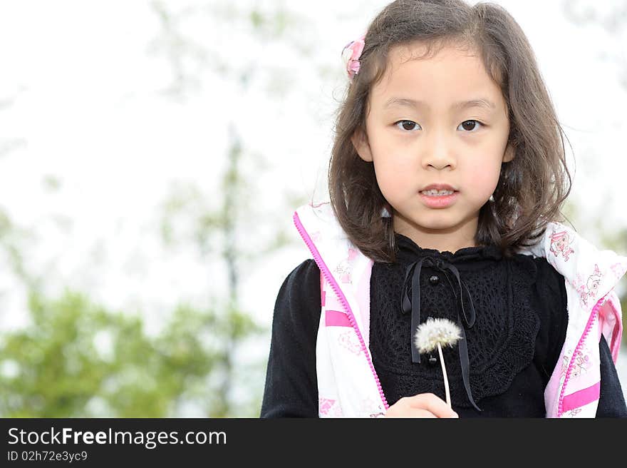 Asian girl and Dandelion