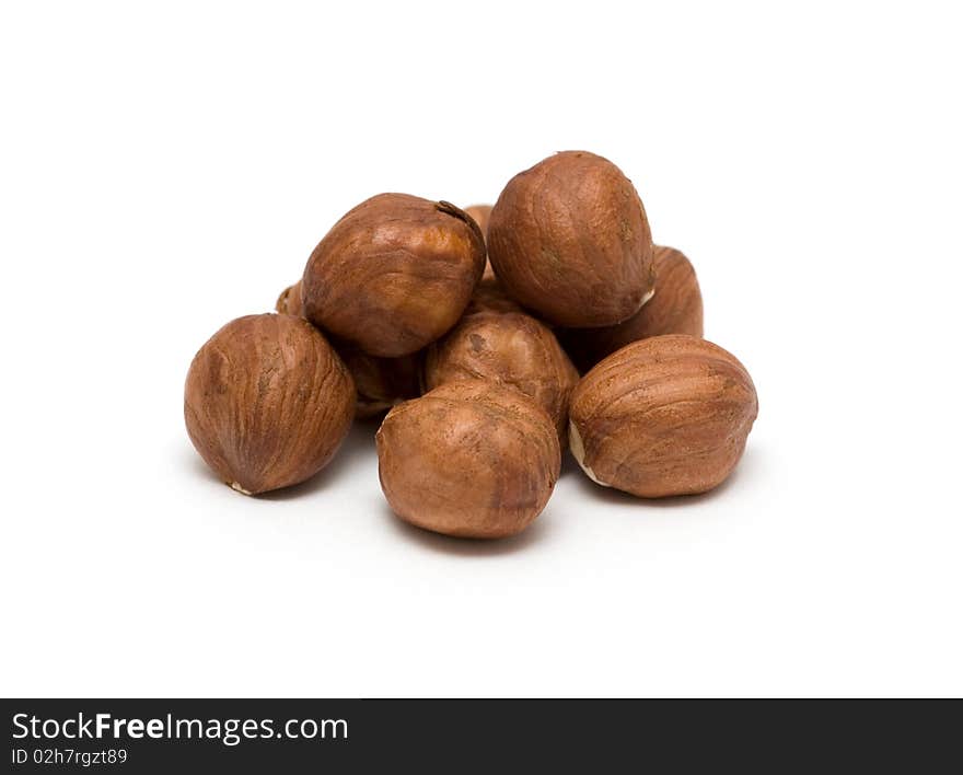 Hazel Nut