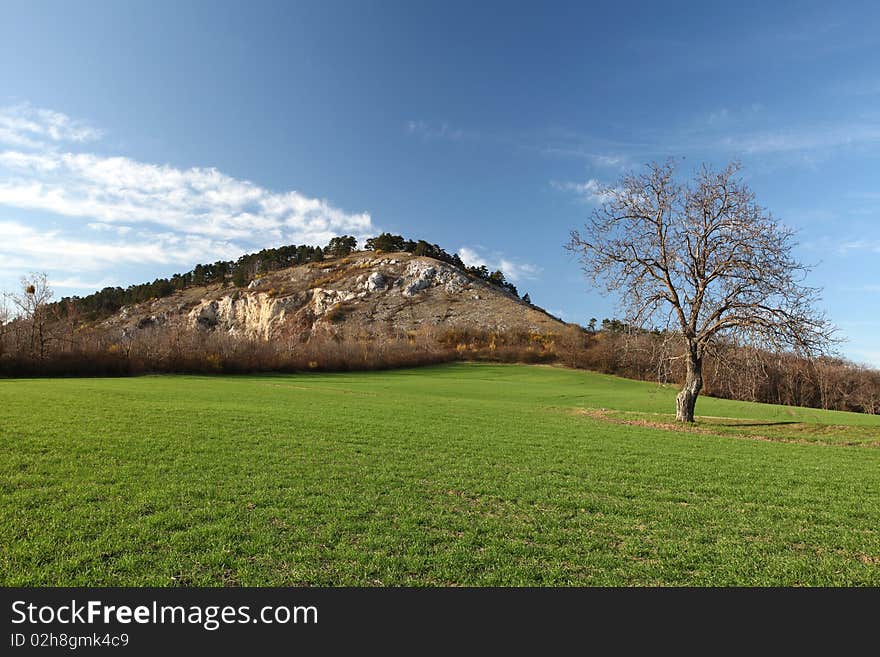 Spring landspace with mountains and tree