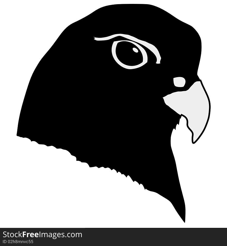 Silhouette of head of gyrfalcon