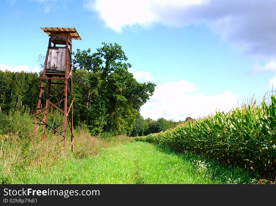 Hunter tower with corn fileds on blue sky