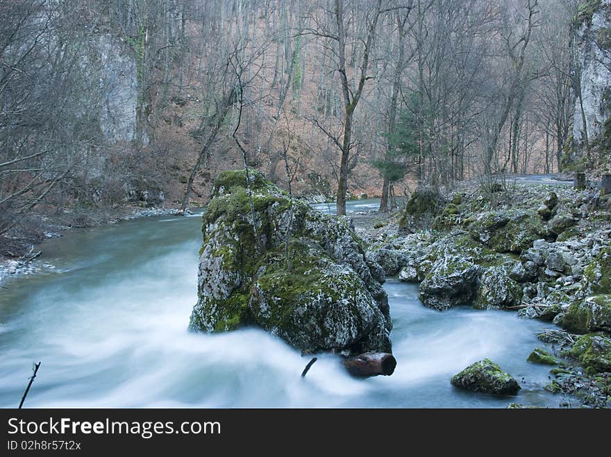 Rapid river in the mountains in spring flowing between rocks covered with moss with forest in the background