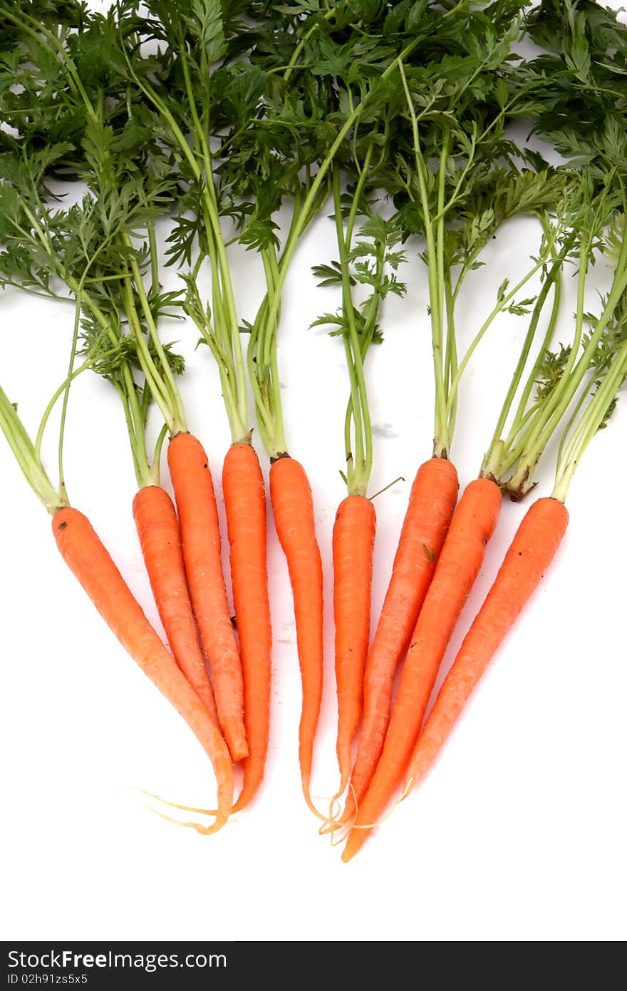 Fresh organic carrot