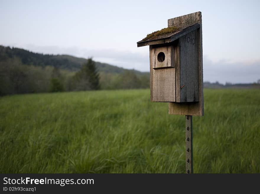 Bluebird birdhouse