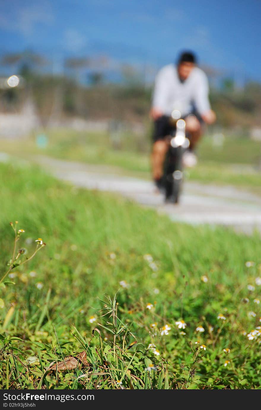 Biking pathway