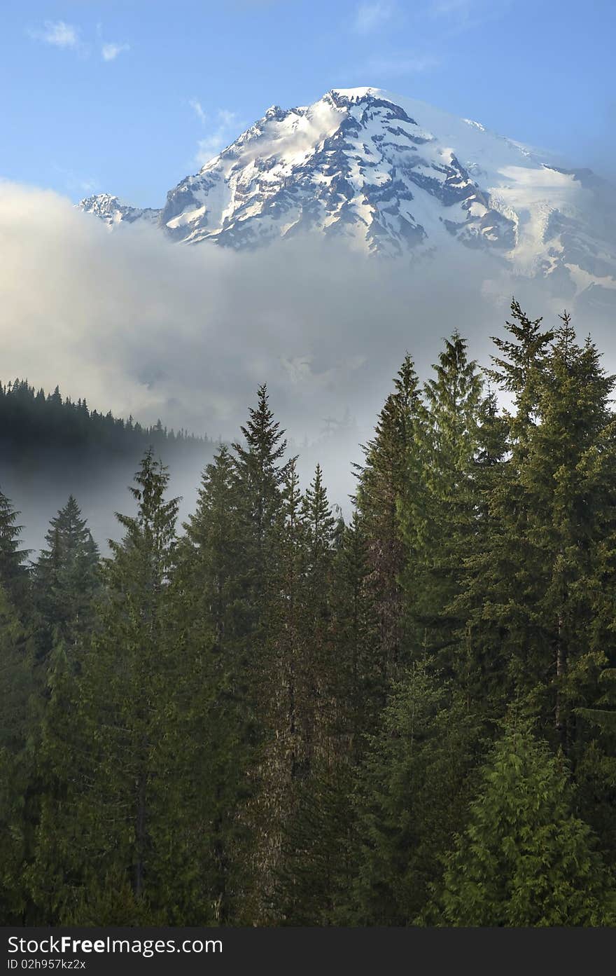 Snow-capped Mount Rainier above the clouds and forests. Snow-capped Mount Rainier above the clouds and forests