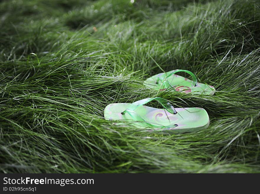 Flipflops in the grass