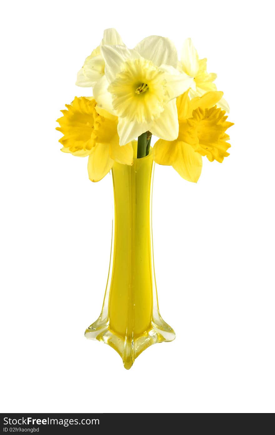 Bouquet of narcissuses in a yellow narrow vase. Bouquet of narcissuses in a yellow narrow vase