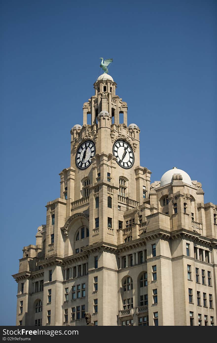 Liver Building