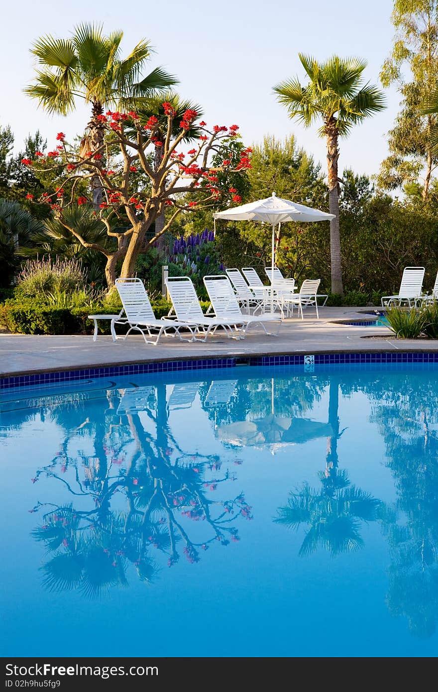 A beautiful swimming pool with chairs and tables, beautiful plants and reflections in the water. A beautiful swimming pool with chairs and tables, beautiful plants and reflections in the water