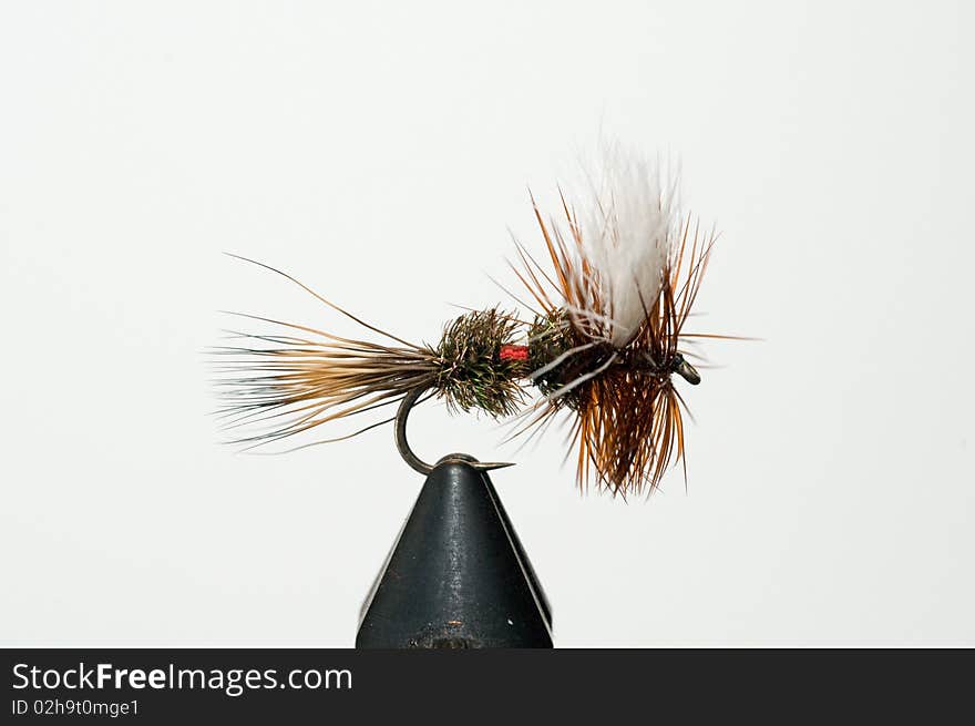 Trout Fly