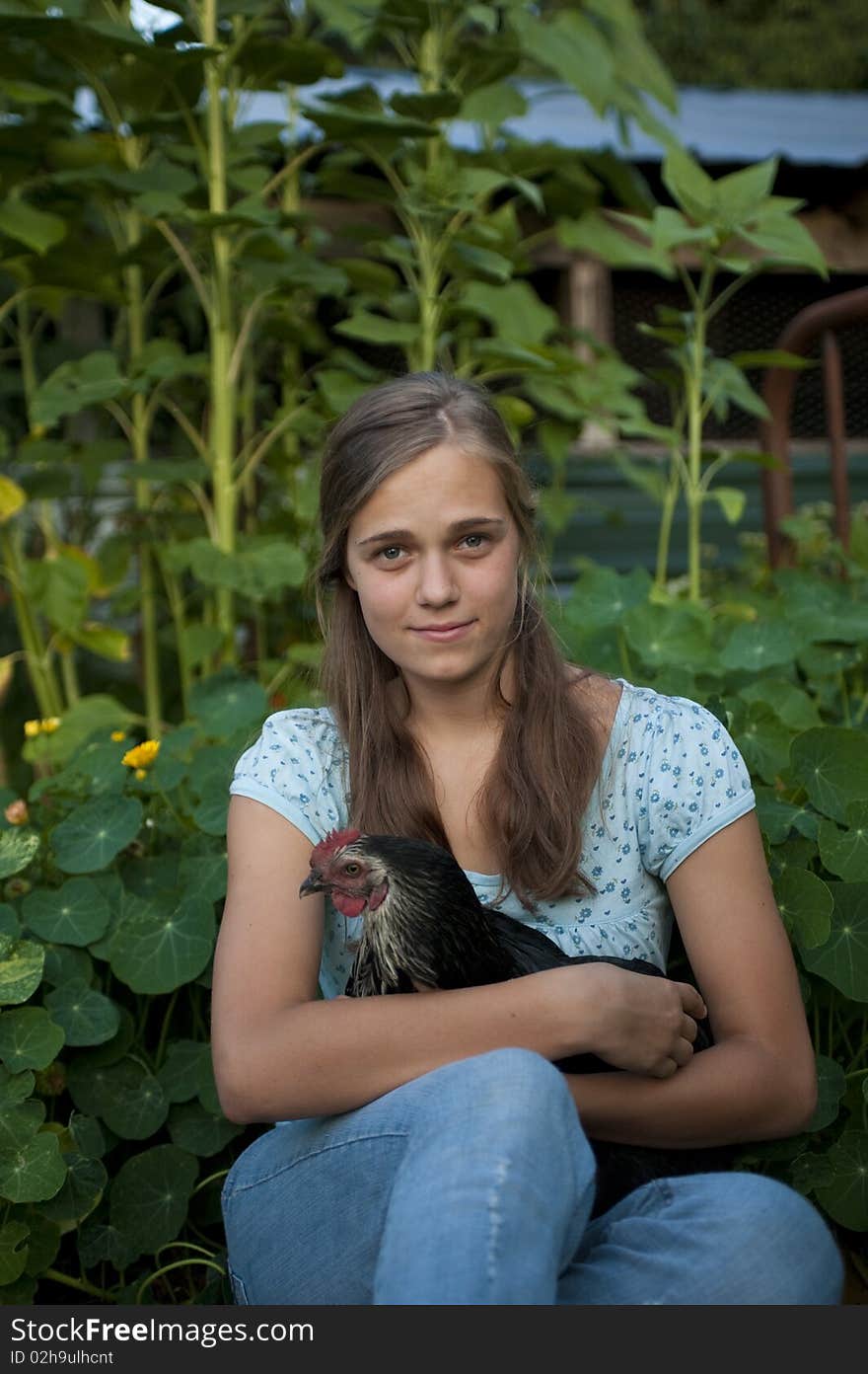 Attractive teenage girl holding a chicken. Attractive teenage girl holding a chicken