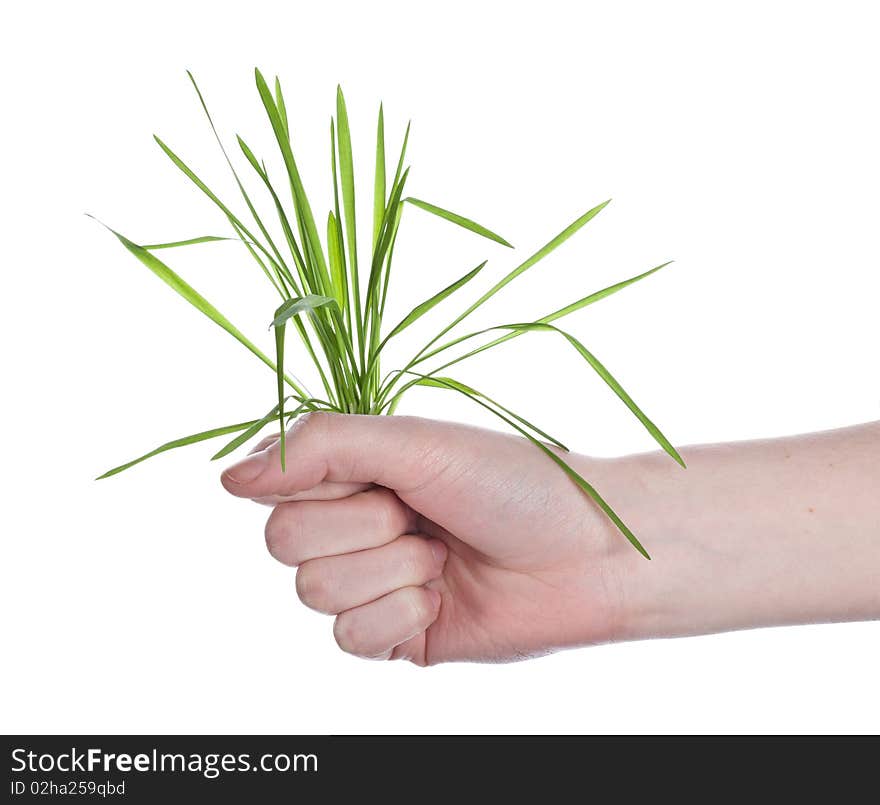 Grass In Hand