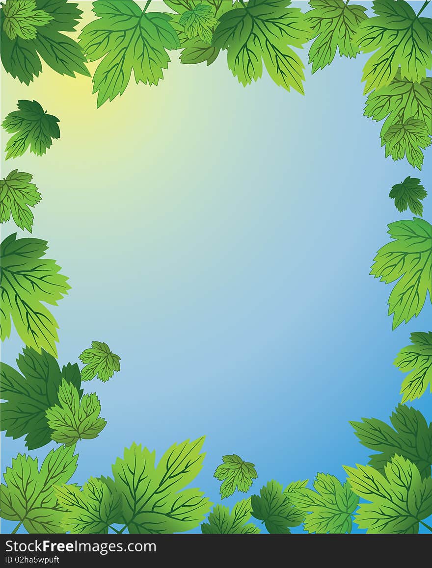 The illustration contains the image of frame with plants