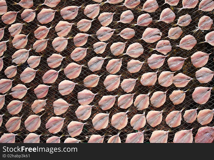 Fish market in Asia / drying / thailand