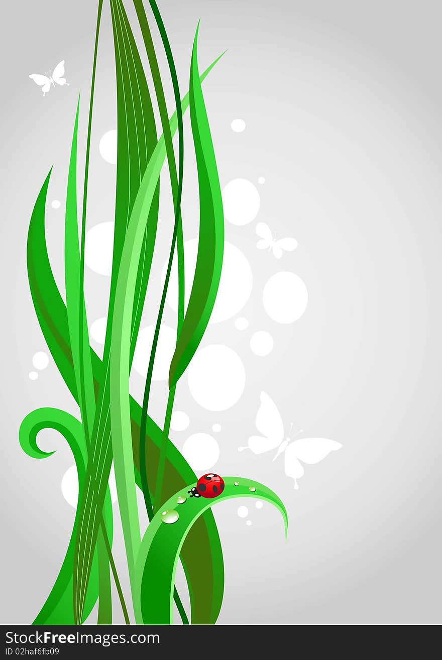 Green grass. Abstract background with space for text