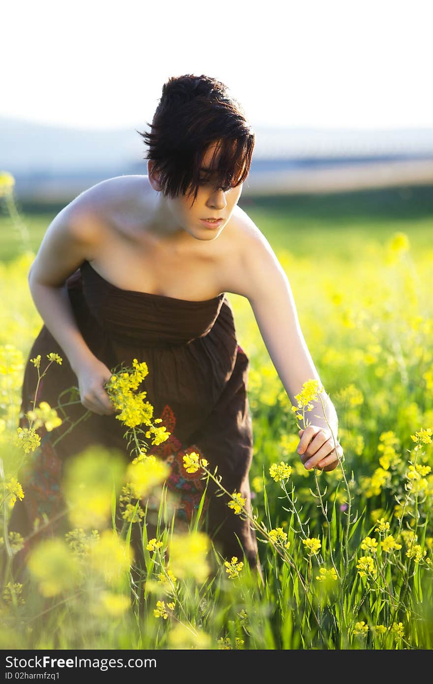 Young beautiful girl collecting yellow flowers.