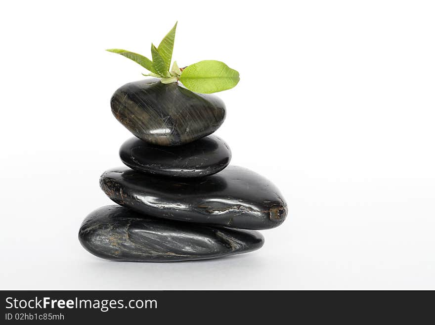 Green leaves lying on black balancing stones on white background. Green leaves lying on black balancing stones on white background